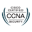 CCNA Training
